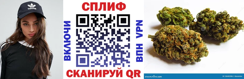 Купить  Зима  Конопля MAZAR 